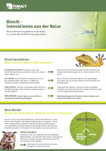 Flyer_Bionik_Screenshot