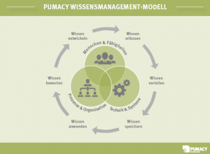 Pumacy Wissensmanagement-Modell