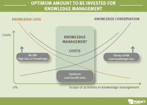 Optimal Investment in Knowledge Management