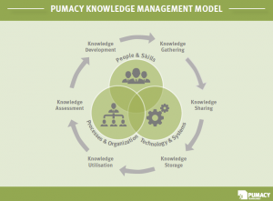 Pumacy Knowledge Management Model